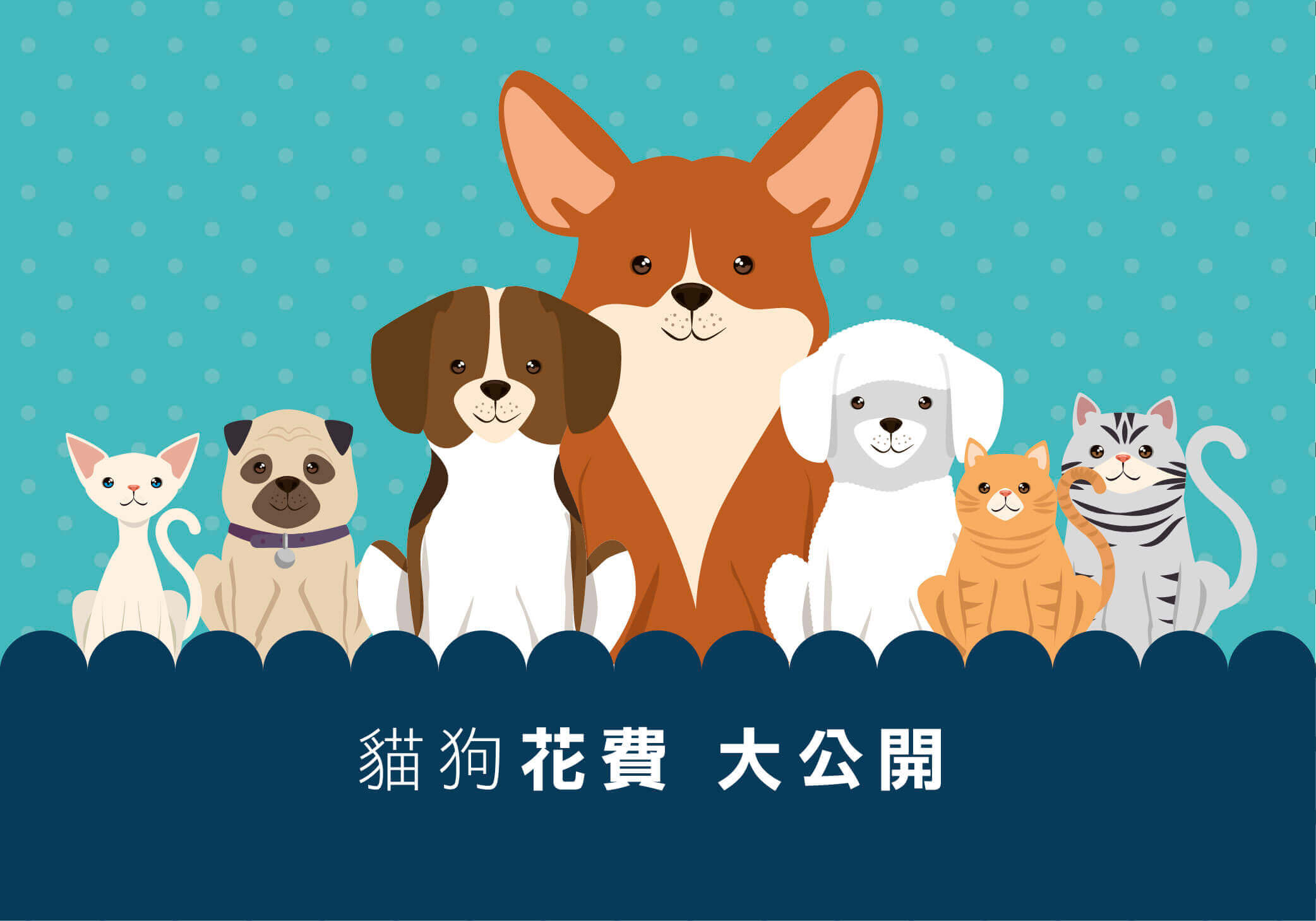 養貓狗要準備多少錢?一張寵物花費表告訴你！