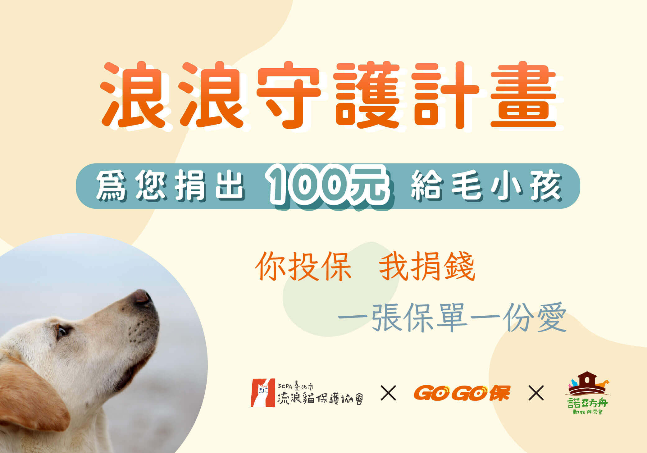 不只疼你家毛孩，我們幫你散播愛給更多毛孩