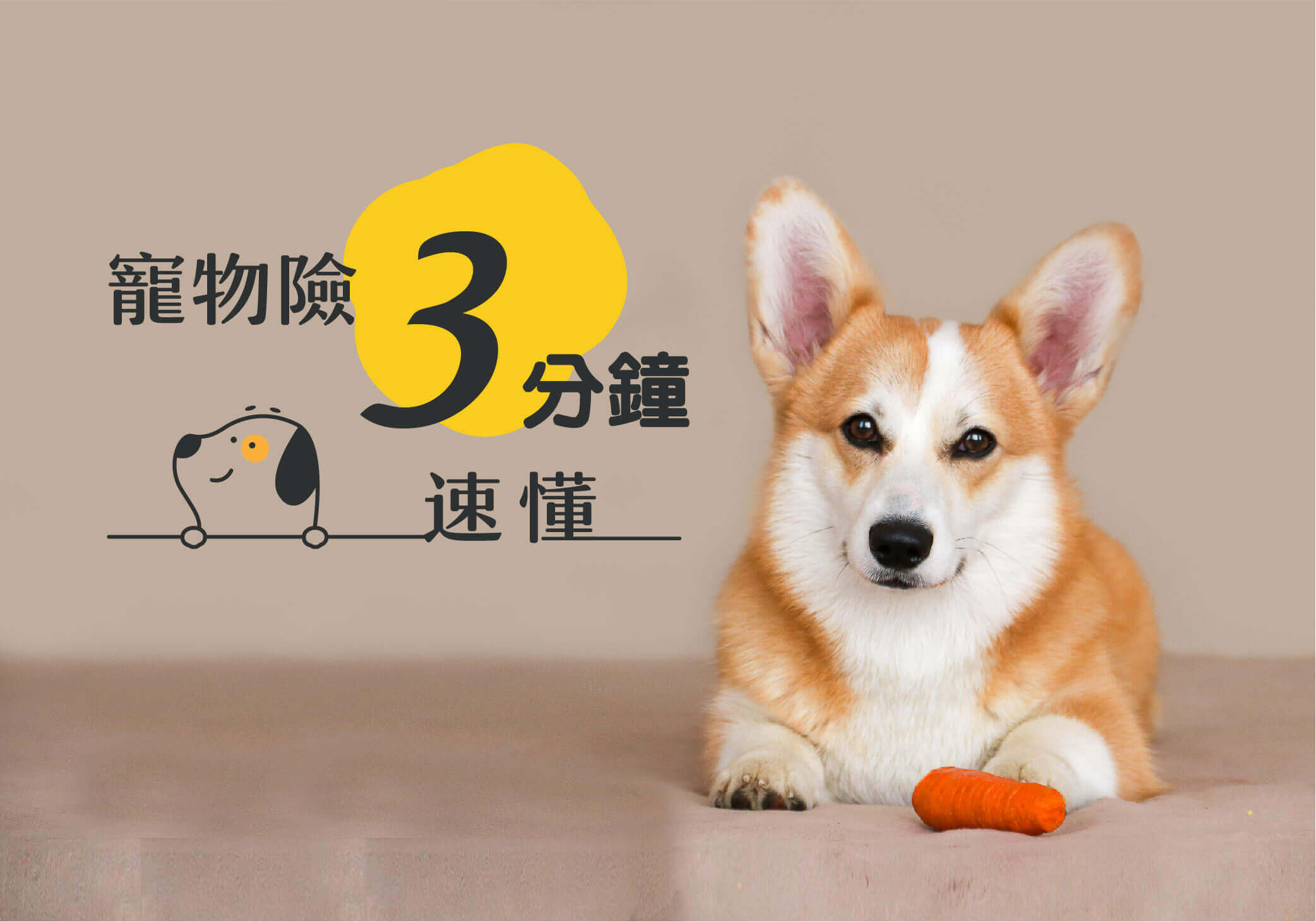 寵物保險保什麼?為何需要寵物險?