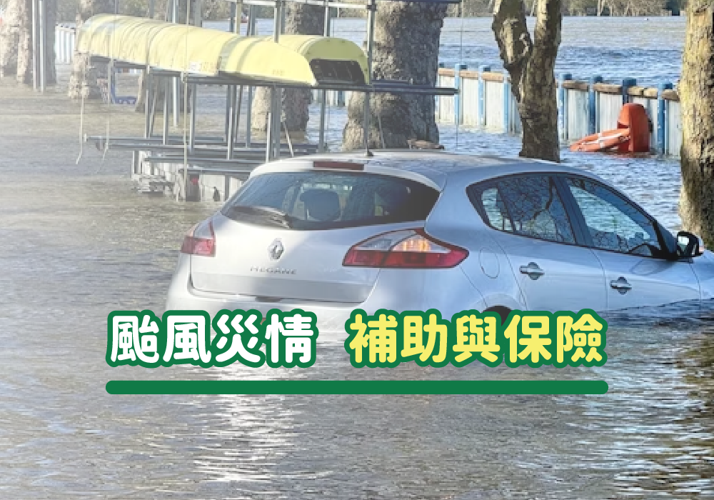 重要！颱風災情南部地區補助整理與相關保險理賠