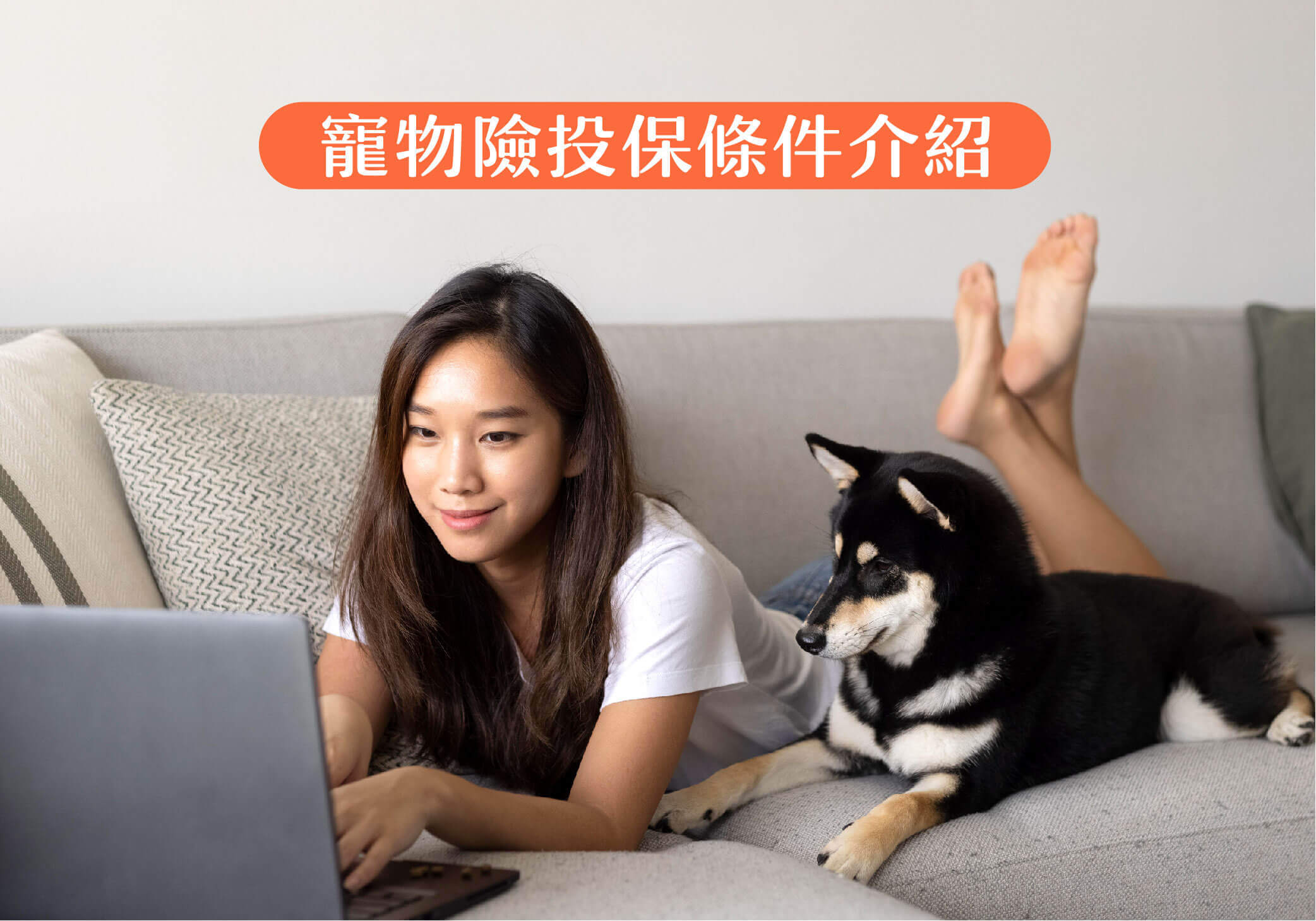 哪些寵物能保寵物險?有年齡或別的條件限制嗎?