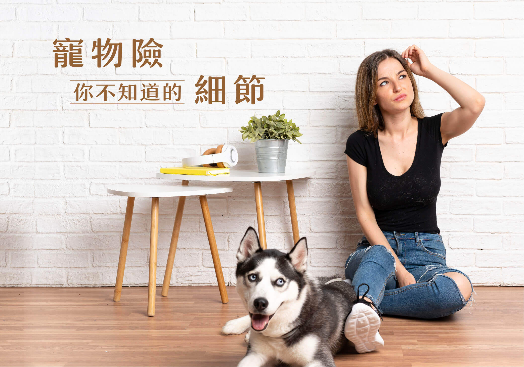 毛孩保險要挑對！沒人告訴你的寵物保險理賠眉角！